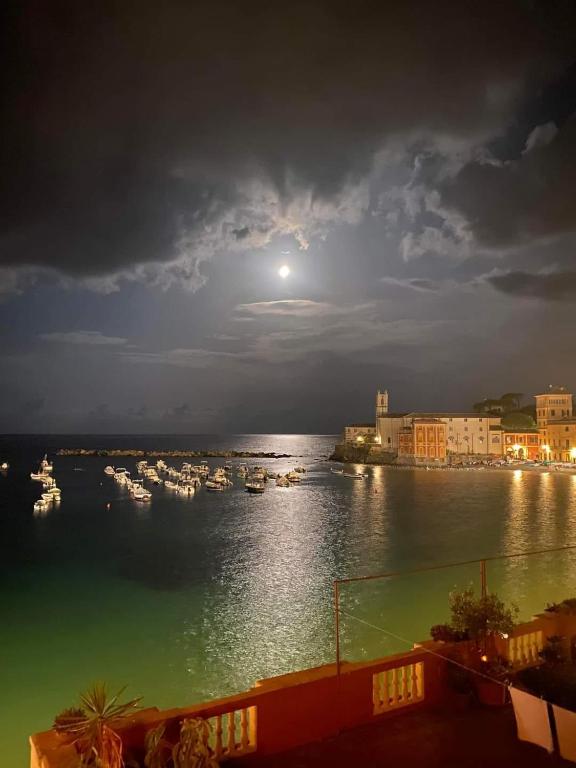 Vista dalla finestra